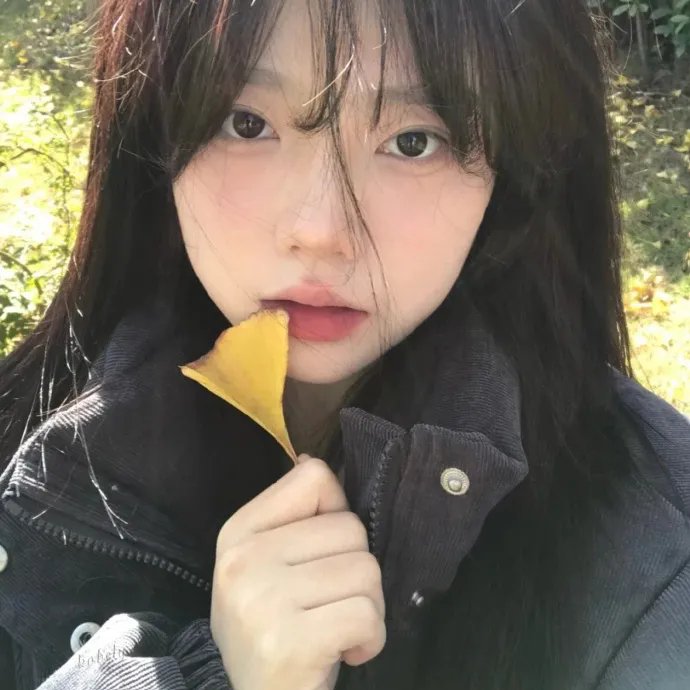 小太阳达芬妮